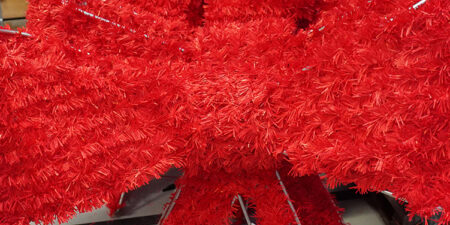 DSC06159WEB-450×450