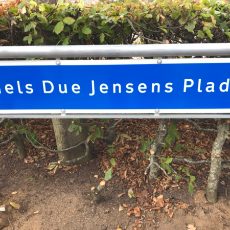 Skærmbillede-2019-09-03-kl.-11.34.16-450×450