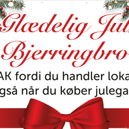 Skaermbillede-2020-12-11-kl.-12.53.02-450×450